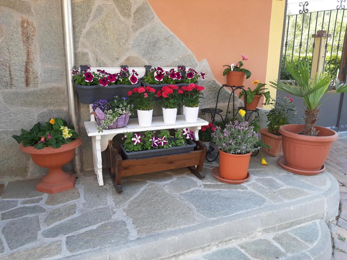 B&B Villa S Anna Hospitality Solutions Arquata Scrivia エクステリア 写真