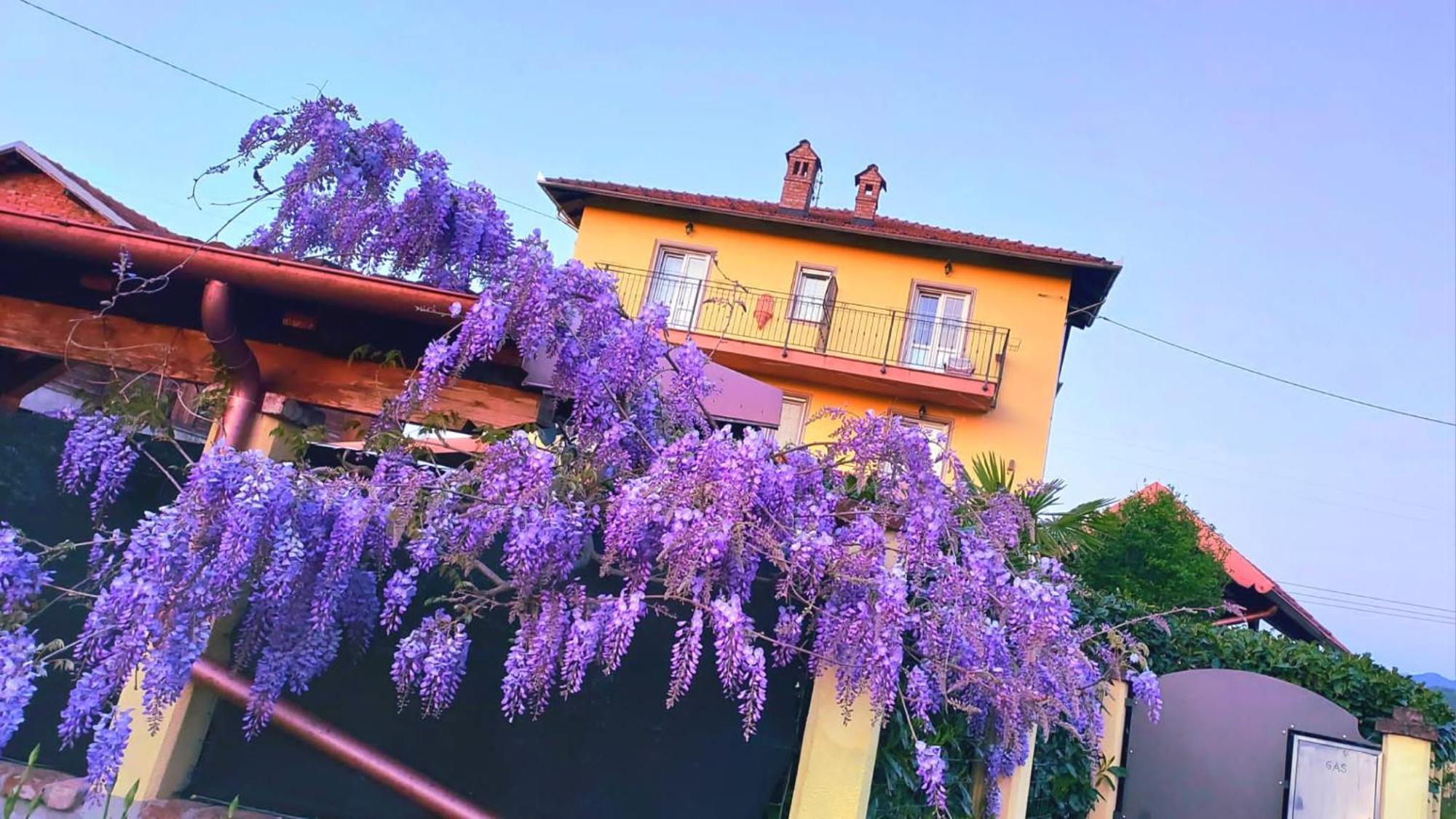 B&B Villa S Anna Hospitality Solutions Arquata Scrivia エクステリア 写真